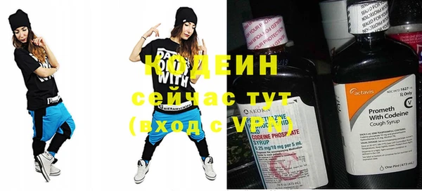 прущий лед Бородино