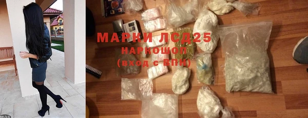 spice Богородск