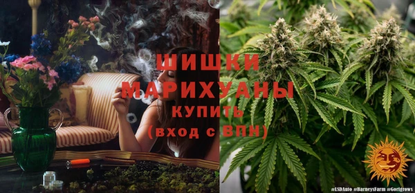 spice Богородицк