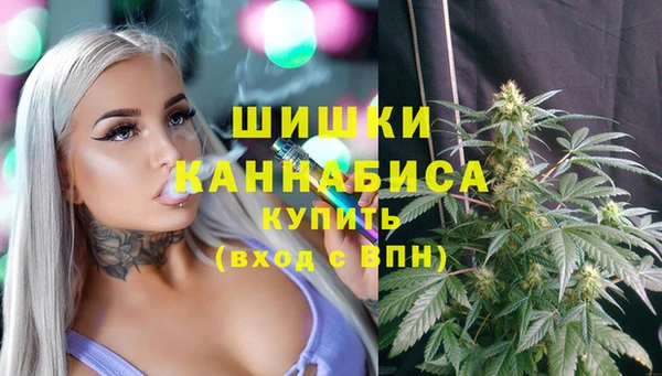 прущий лед Бородино