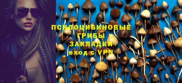 spice Богородск