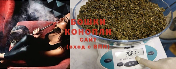 прущий лед Бородино