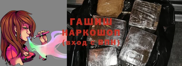 spice Богородицк