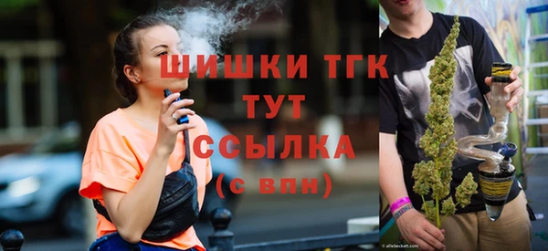 spice Богородицк