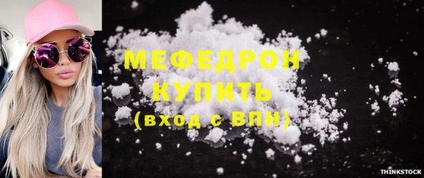 spice Богородицк