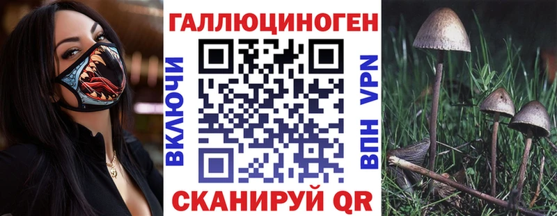 купить  сайты  Мурманск  Псилоцибиновые грибы мицелий 