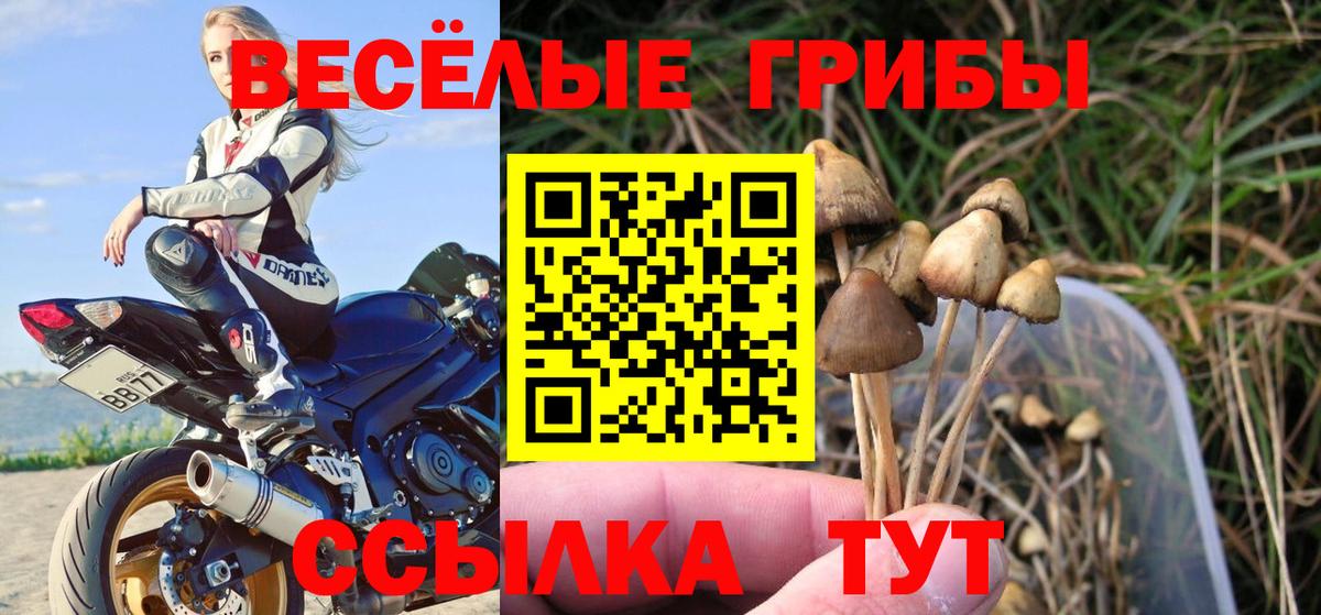 Мурманск  Псилоцибиновые грибы Psilocybine cubensis  Галлюциногенные грибы Magic Shrooms  Вход с VPN 