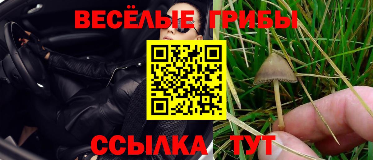Галлюциногенные грибы мухоморы Мурманск